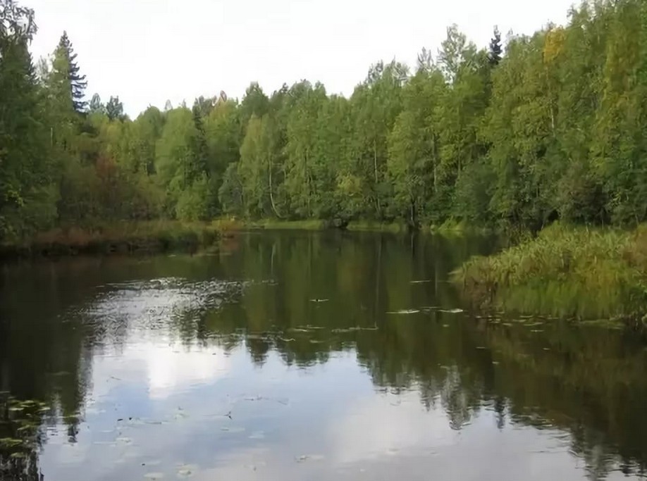 Рыбалка в Архангельской области