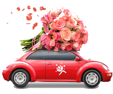 Заказать свежие цветы с доставкой недорого | Быстрая доставка цветов