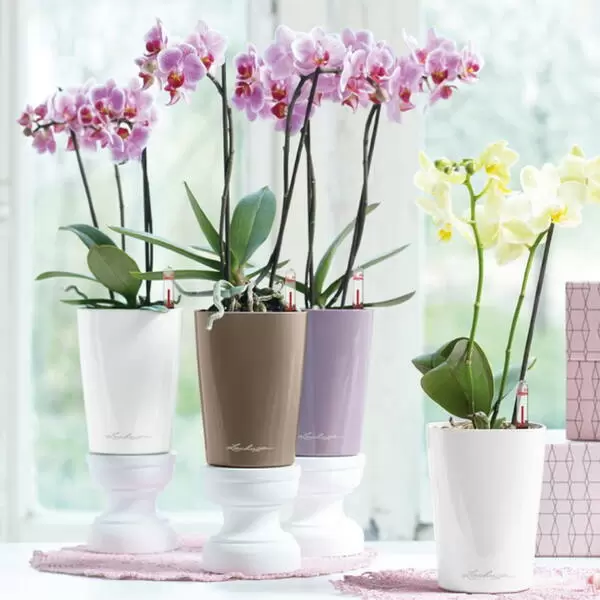 Кашпо "Лечуза" - стильное дополнение для вашего интерьера