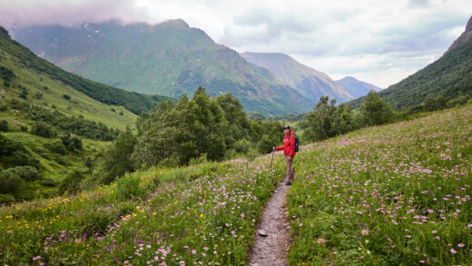 Бзерпинский карниз