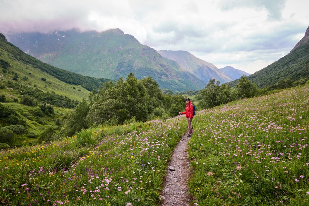 Бзерпинский карниз